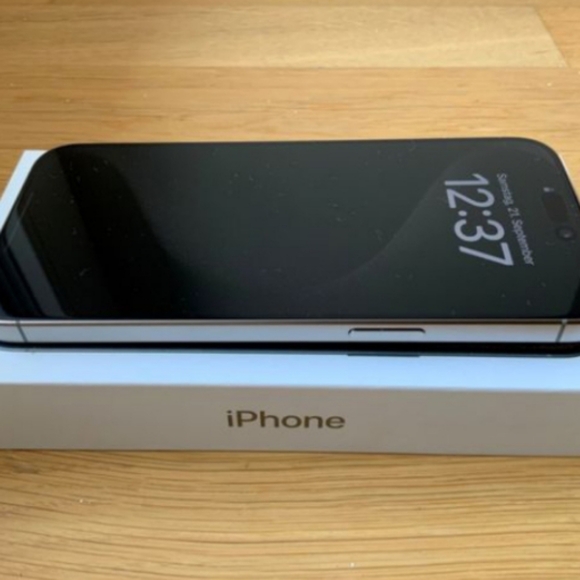 Meet your Posher, Kennedy - Picture 6 of 6